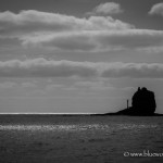 BWF-06617