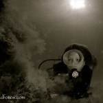 BWF00366